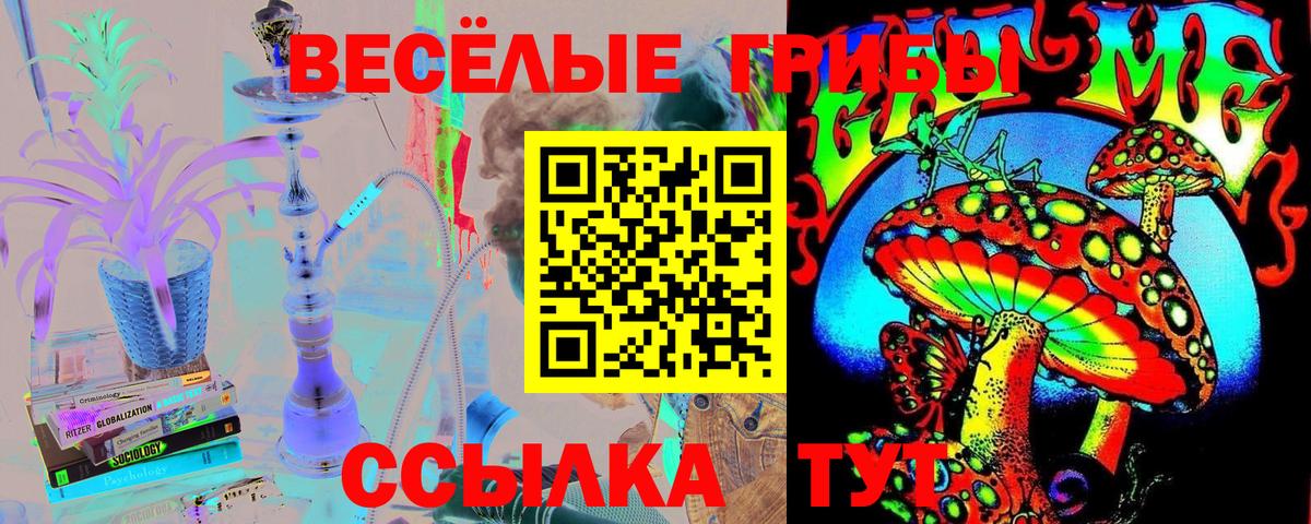 Междуреченск  Галлюциногенные грибы Psilocybe  Вход с VPN  купить  цена  Псилоцибиновые грибы Cubensis 